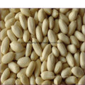 Blanchierte Erdnuss 1/2 Kernel, halb, 1/4 Viertel